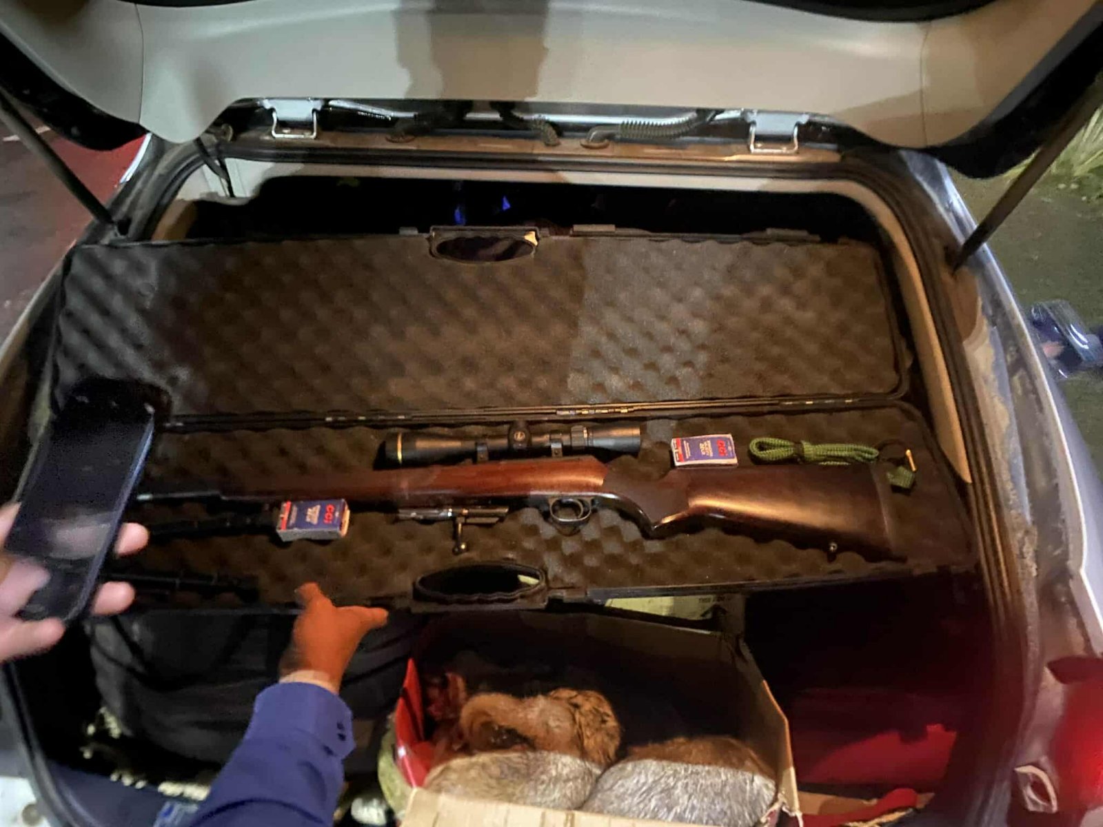 22 тарваганы мах хураан авч явсныг илрүүлжээ