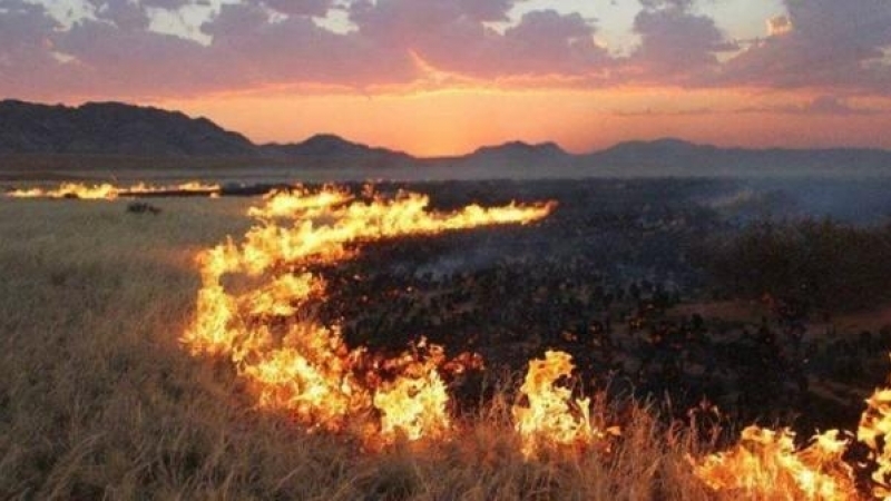 Дорнод аймгийн Халхгол суманд өчигдөр гарсан түймрийг цурамд оруулжээ