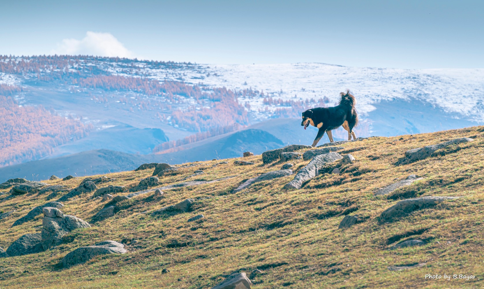 Ихэнх нутгаар хур тунадас орохгүй, дулаан