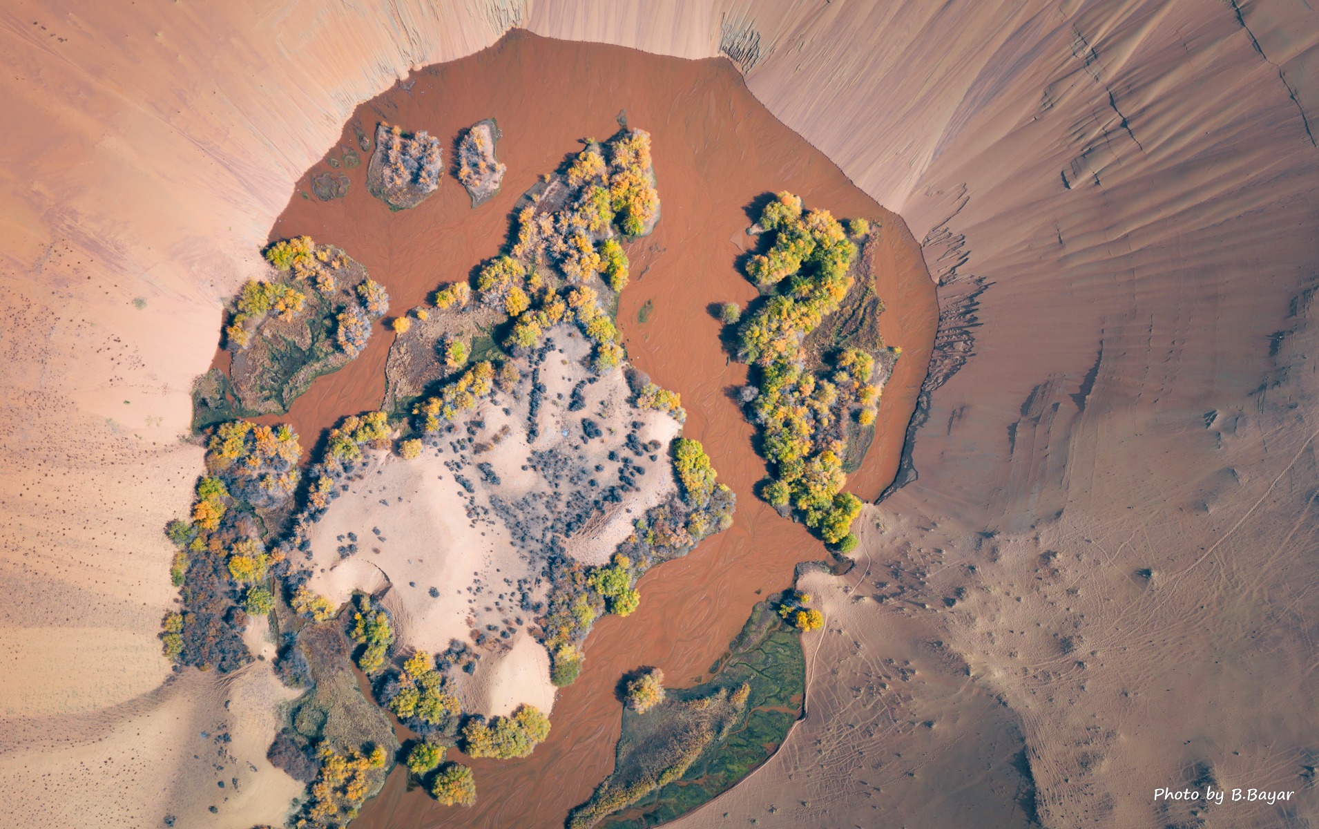 Нутгийн зүүн хэсгээр ялимгүй цас орж, хүйтэн салхитай