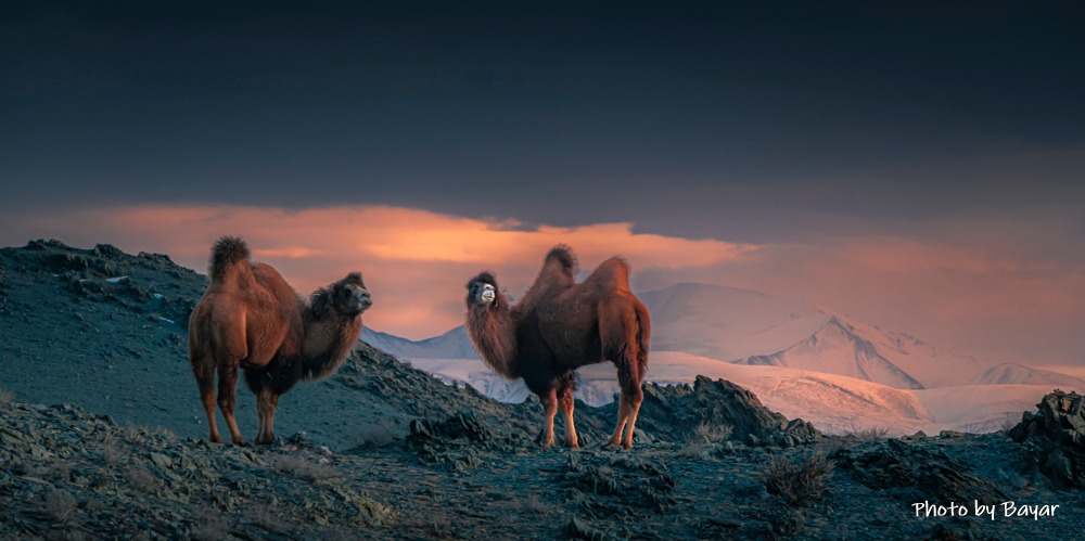 Баянхонгорын зүүн, Өвөрхангайн өмнөд хэсгээр их цас орно