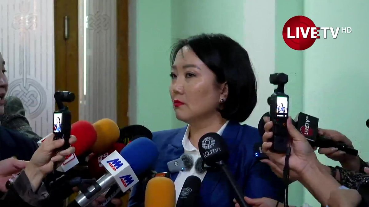 🔴С.Үүрийнтуяа: Тойргийн гишүүд төсвөө батлуулах гэж хөөцөлдөж гүйх нь зүй ёсны хэрэг