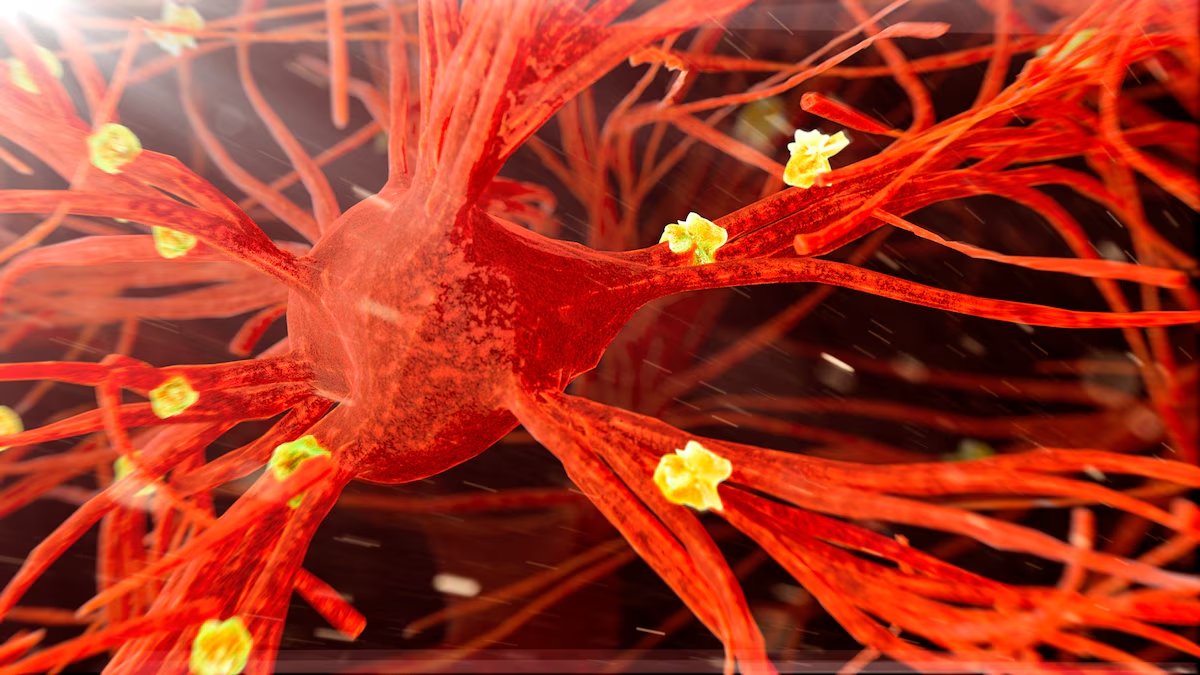 Рош компанийн шинэ MS эмчилгээний туршилт амжилттай үр дүн үзүүлжээ