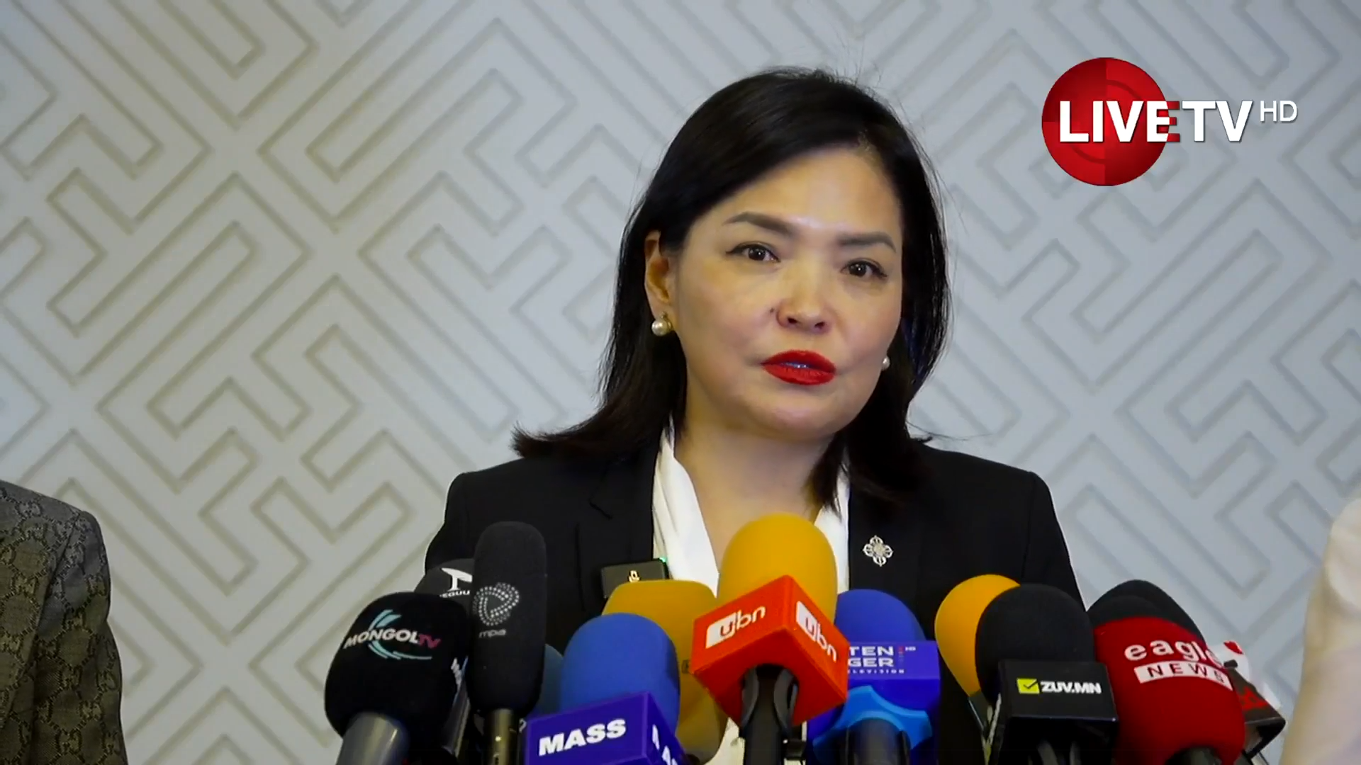 🔴Д.Энхтуяа: ЭМД-ын санг хараат бусаар ажиллуулъя гэвэл даатгалын корпорац байгуулах ёстой