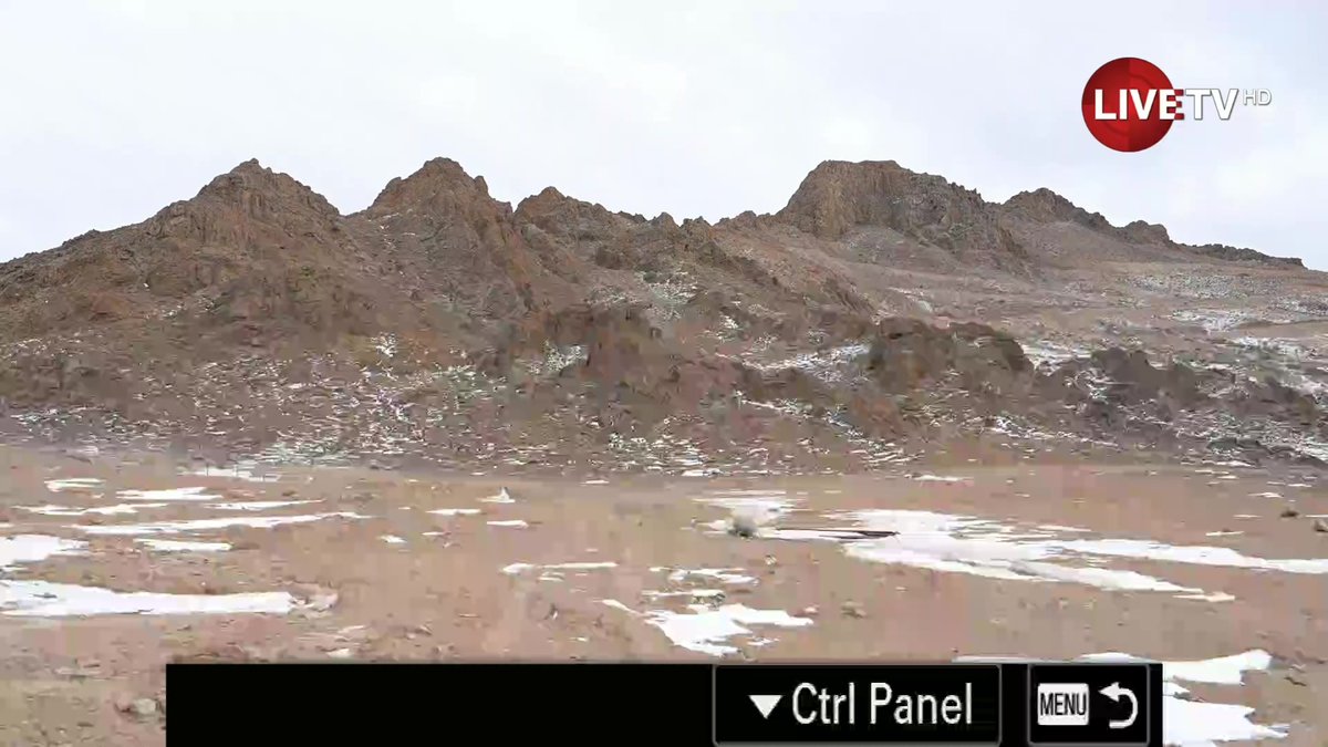 LIVE: Халзан бүрэгтэй ордын хайгуулын ажлыг дахин эхлүүллээ