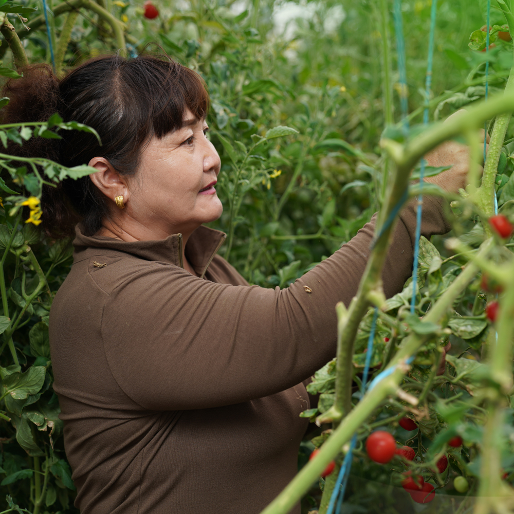 “Говийн оюу хөгжлийг дэмжих сан”-ийн хөнгөлөлттэй зээлийг 131 бизнес эрхлэгч авчээ