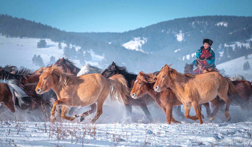 Баруун болон төвийн аймгуудын нутгаар цасан шуурга шуурна