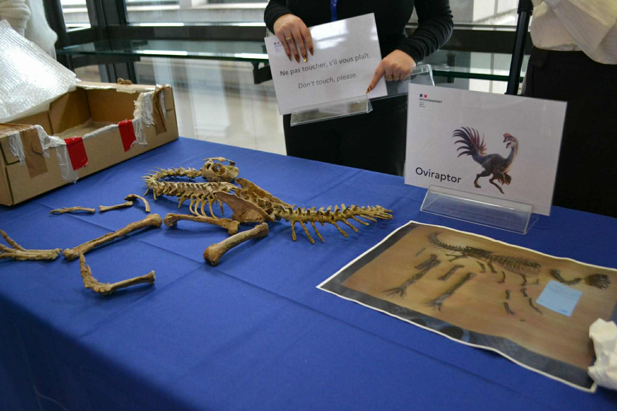 Харьд худалдсан тарбозавр батаар ямар замыг туулж 12 жилийн дараа эх орондоо ирэв