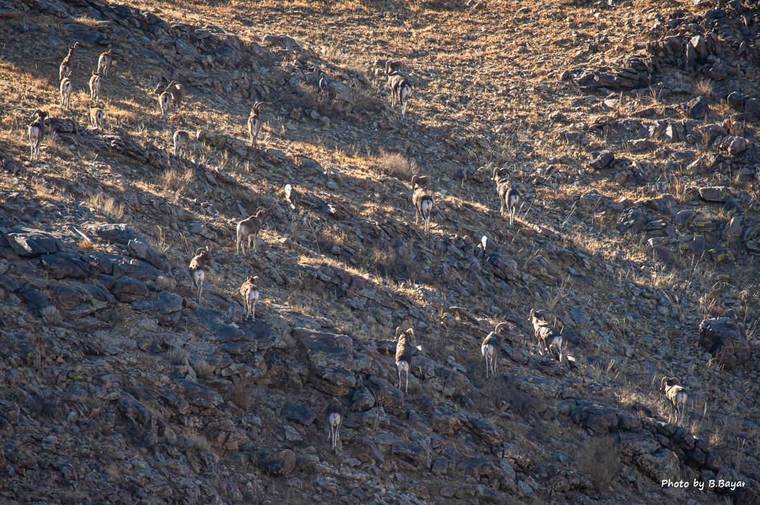Ихэнх нутгаар цаг агаар тогтуун