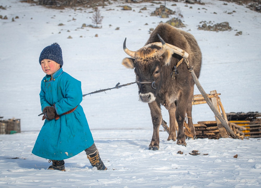Өнөөдөр нийт нутгаар цас орохгүй, цаг агаар тогтуун байна