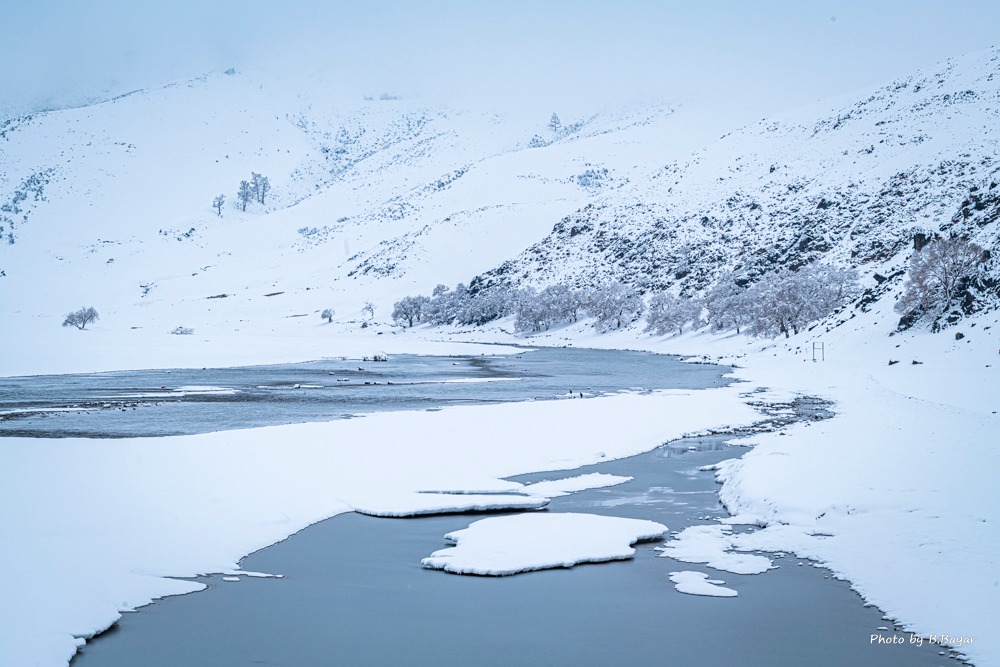 Есөн аймгийн 36 сум цагаан зудтай байна
