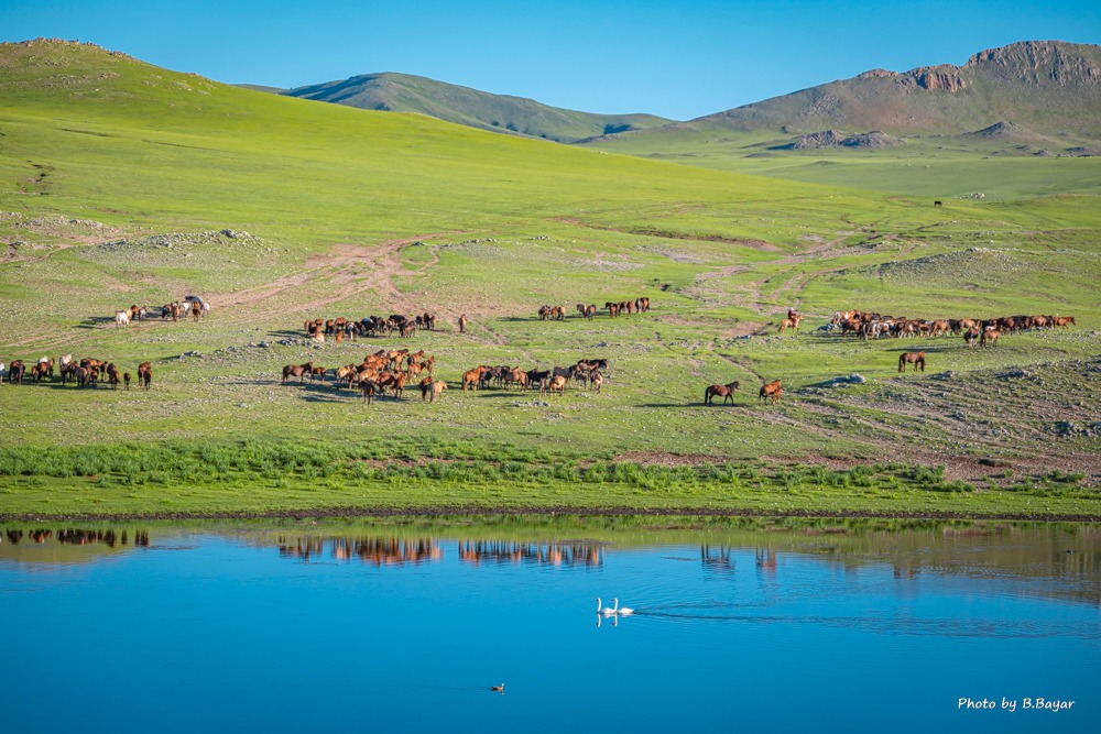 Ойрын хоногуудад ихэнх нутгаар хүйтний эрч хадгалагдна