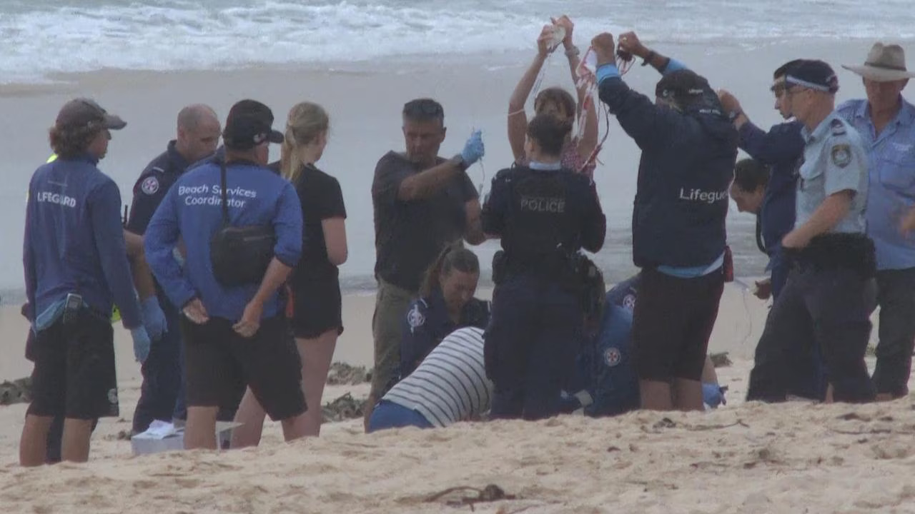 Акулын цуврал халдлагын улмаас Сиднейн наран шарлагын газруудыг хаалаа