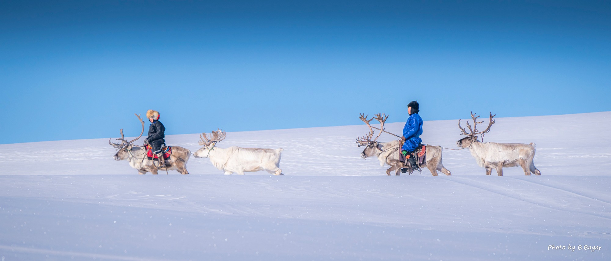 24-нийг хүртэл нийт нутгаар цаг агаар тогтуун