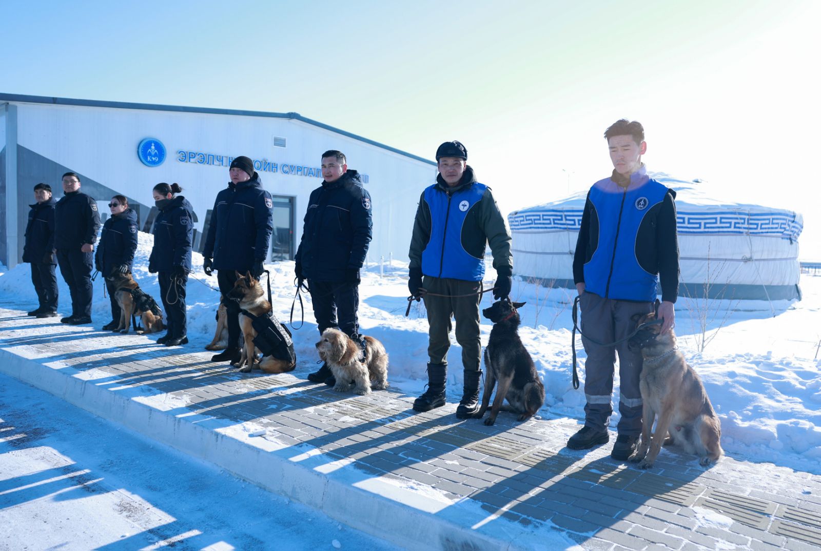 Гаалийн хяналтын бүсэд ажиллах эрэлч нохойн тоог нэмэгдүүлэх шаардлага үүсчээ