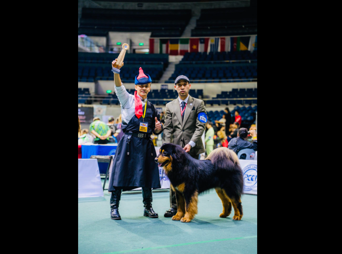 “Дэмүүл” банхар Азийн аварга шалгаруулах тэмцээнд түүхэн амжилт үзүүллээ