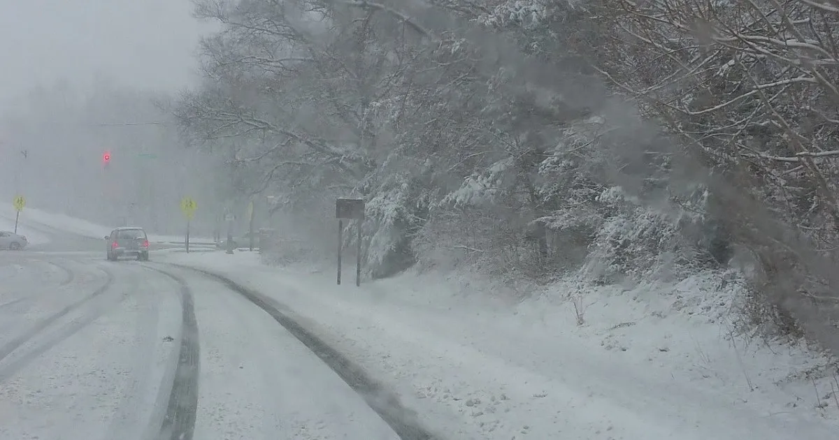 АНУ-д дэгдсэн хүчтэй цасан шуурганы улмаас 12 хүн амиа алдаж, сая гаруй өрх тоггүй боллоо