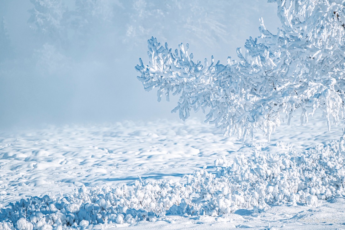 Зүүн аймгуудын зүүн хэсгээр цас орж, явган шуурга шуурна