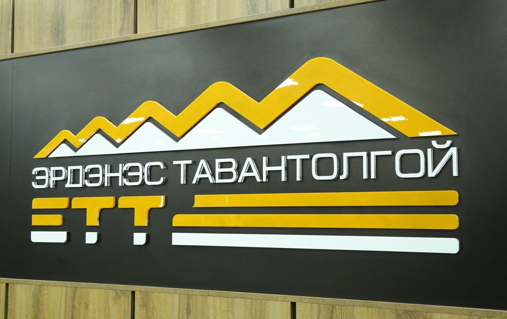 “ЭТТ” ХК-ийн зүгээс “Спэйшл Майнинг Сервис” ХХК-ийг шалгуулах хүсэлт өгчээ