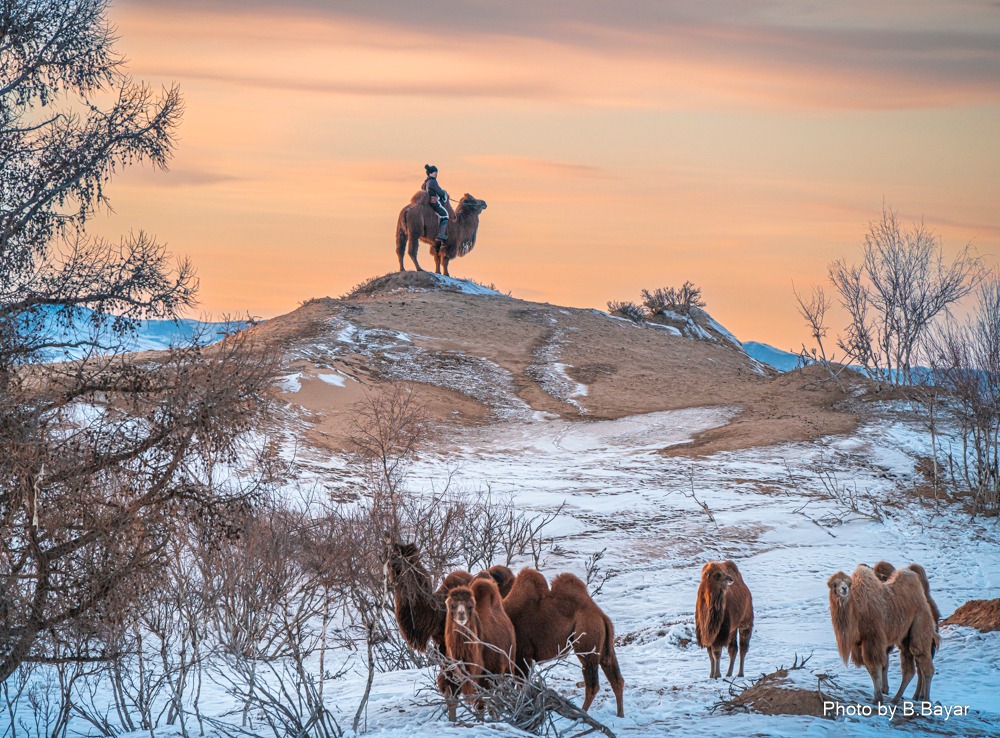 2-р сарын 3-ныг хүртэл нийт нутгаар хүйтний эрч суларна