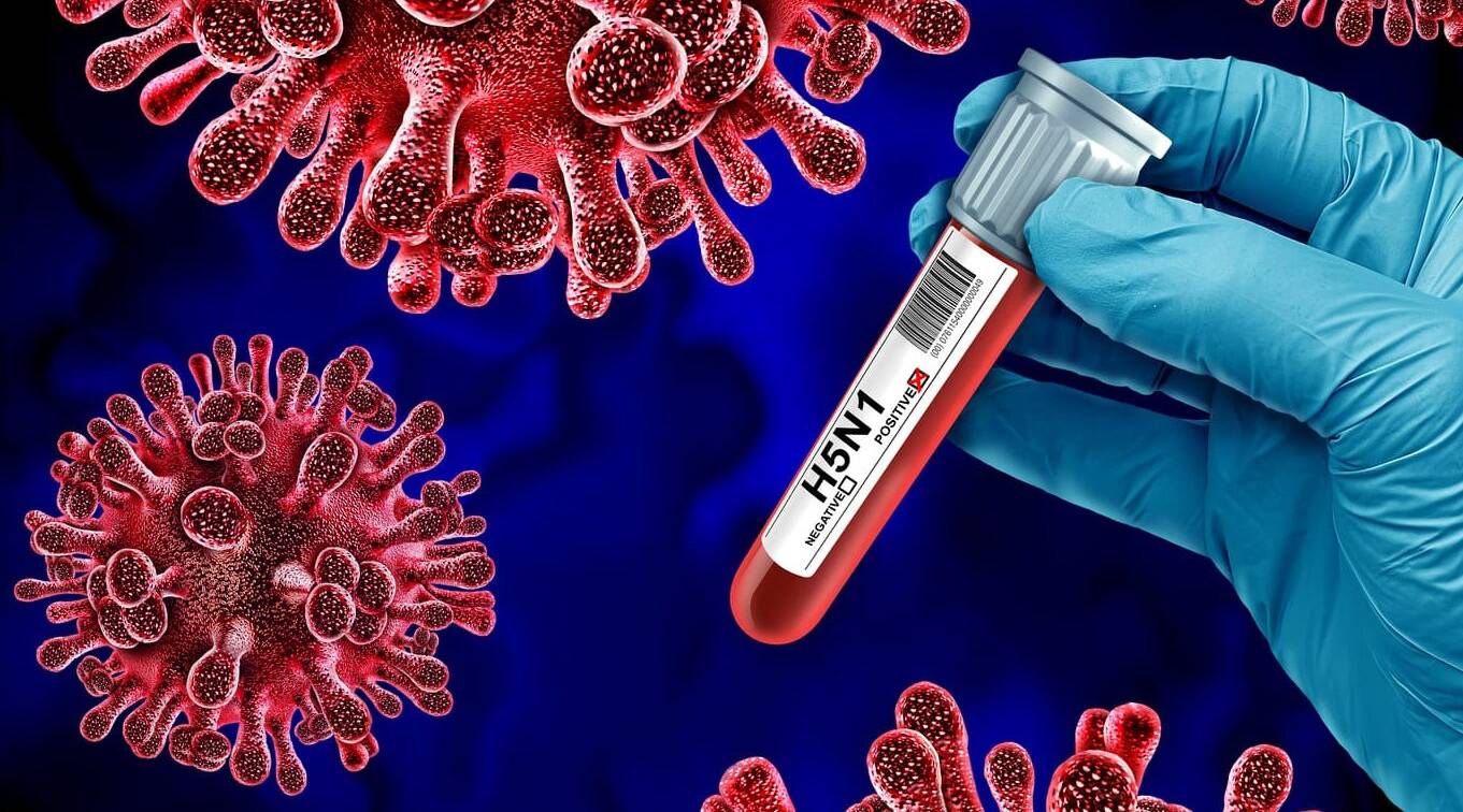 Шувууны ханиадны эсрэг хамрын цацлага хэлбэрийн вакцин гарган авчээ