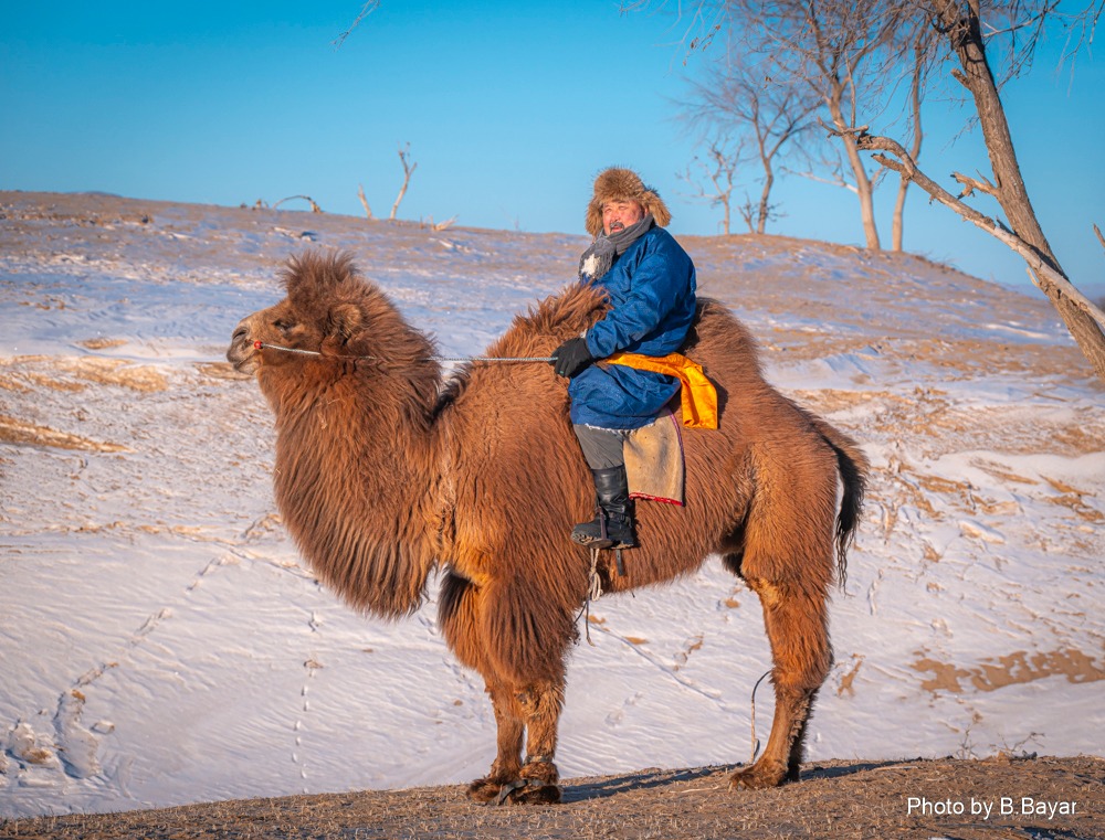 Ихэнх нутгаар жавартай хүйтэн