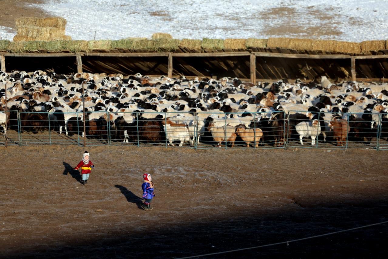 Хоёрдугаар сард олон жилийн дунджаас хүйтэрч, цасан шуурга шуурах төлөвтэй байна