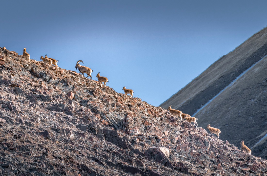 Цаг агаар тогтуун, хүйтний эрч суларна