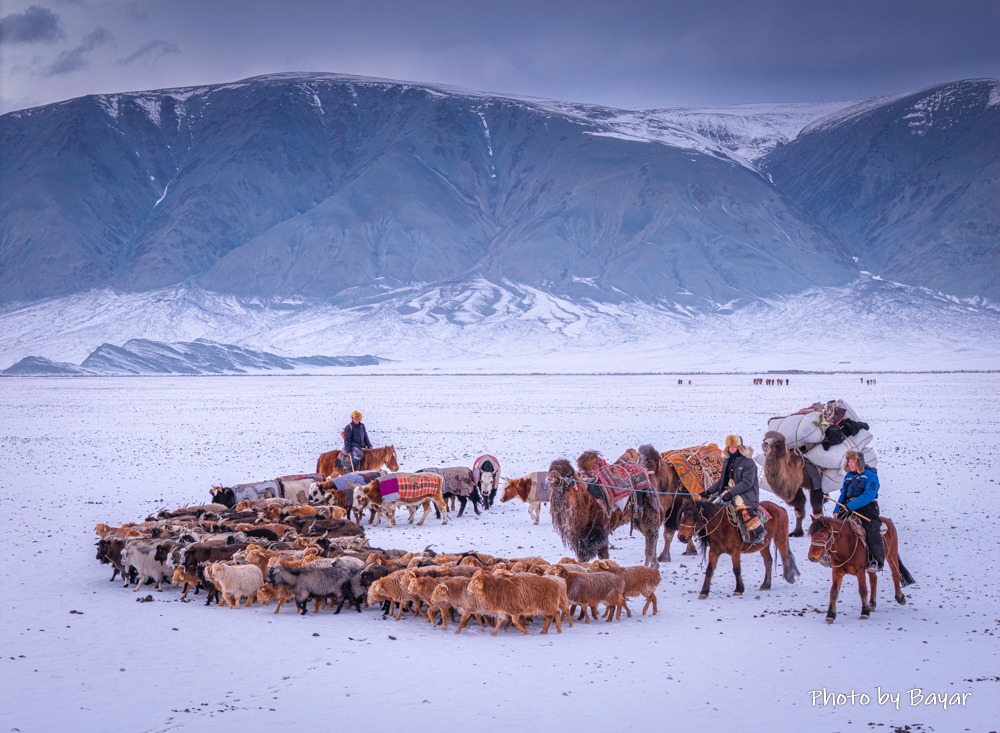 Өнөөдөр нутгийн төв хэсгээр цас орж, цасан шуурга шуурна