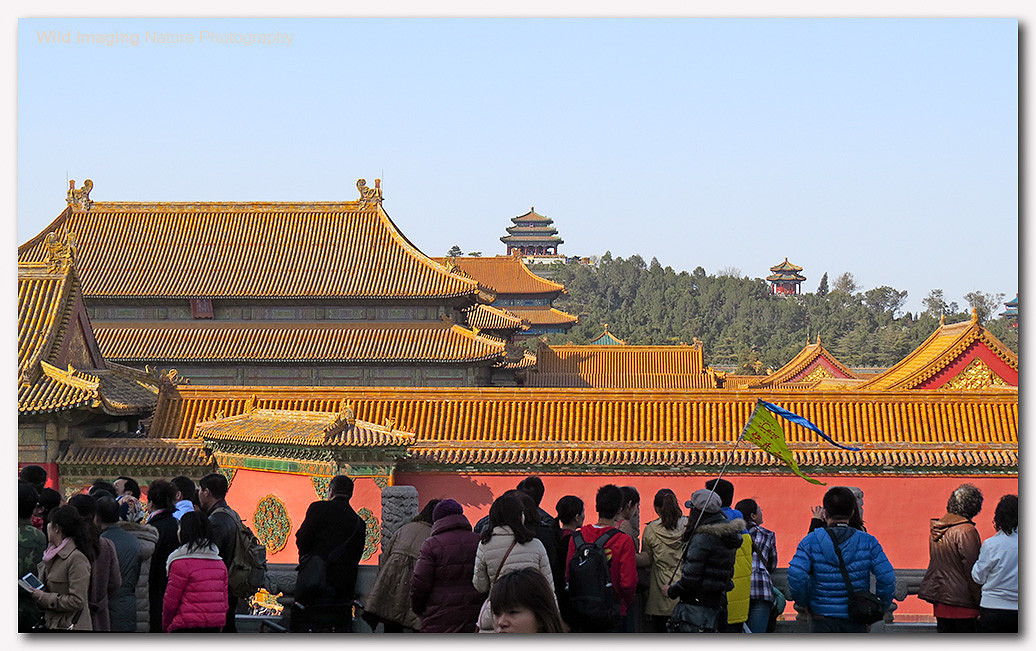 БНХАУ хүн амынхаа дундаж наслалтыг 80-д хүргэх зорилт тавьжээ