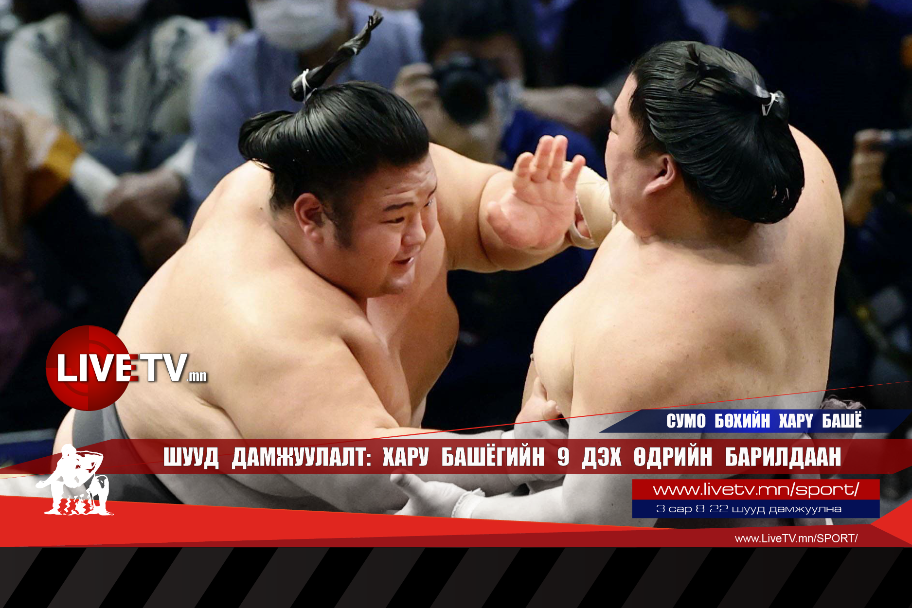 🔴 LIVE: Сумо бөхийн Хару башё /ес дэх өдөр/