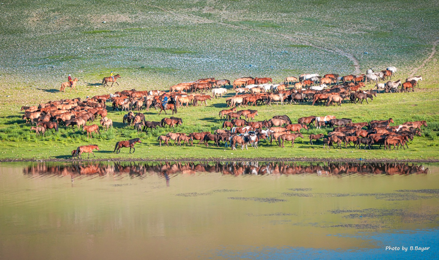 Дулаарах тул болзошгүй шар усны үерийн аюулаас сэрэмжлэгтүн