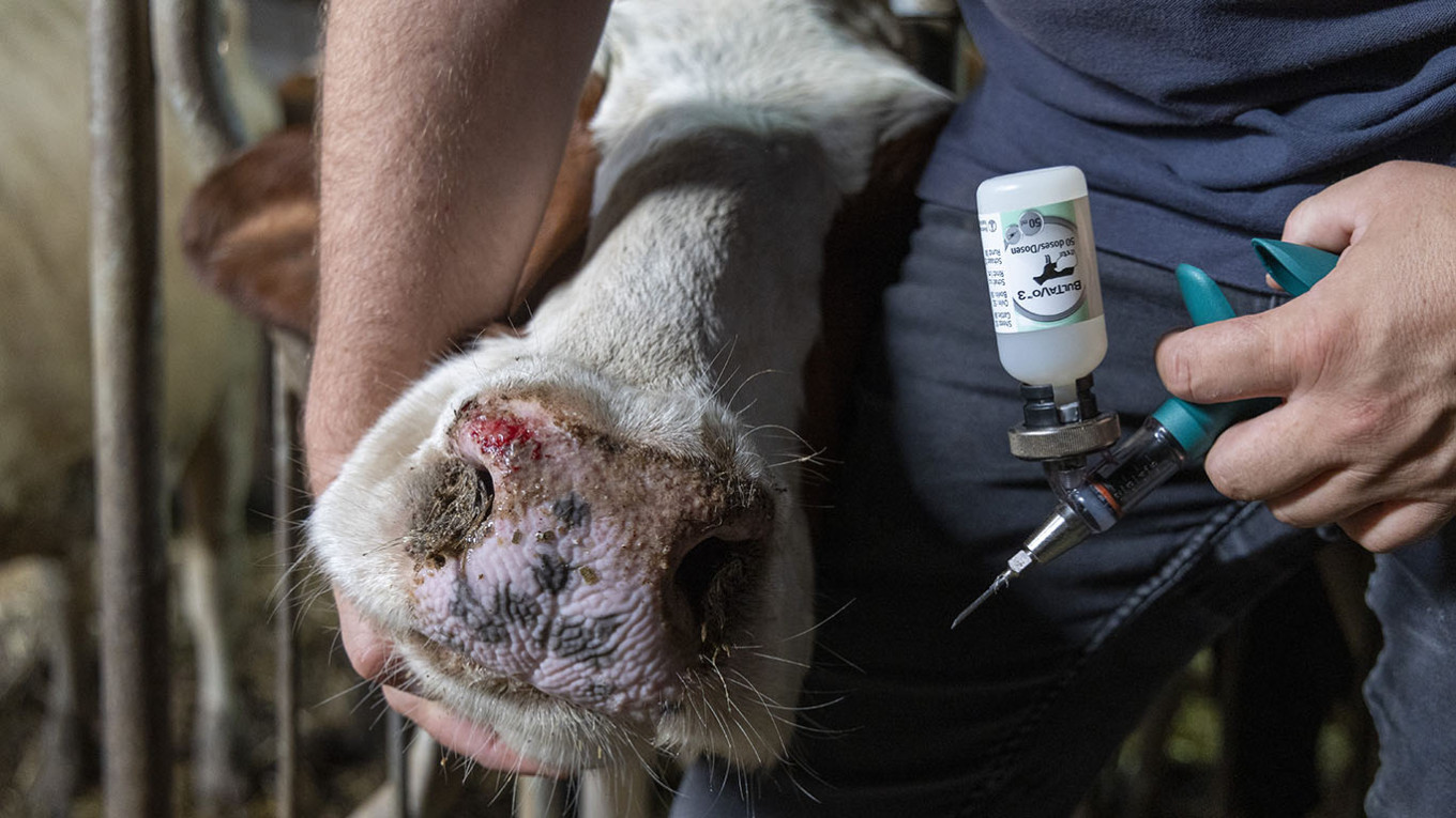 ОХУ-ын нууцалж байсан шүлхий өвчний аюултай халдвар Хятадад тархлаа
