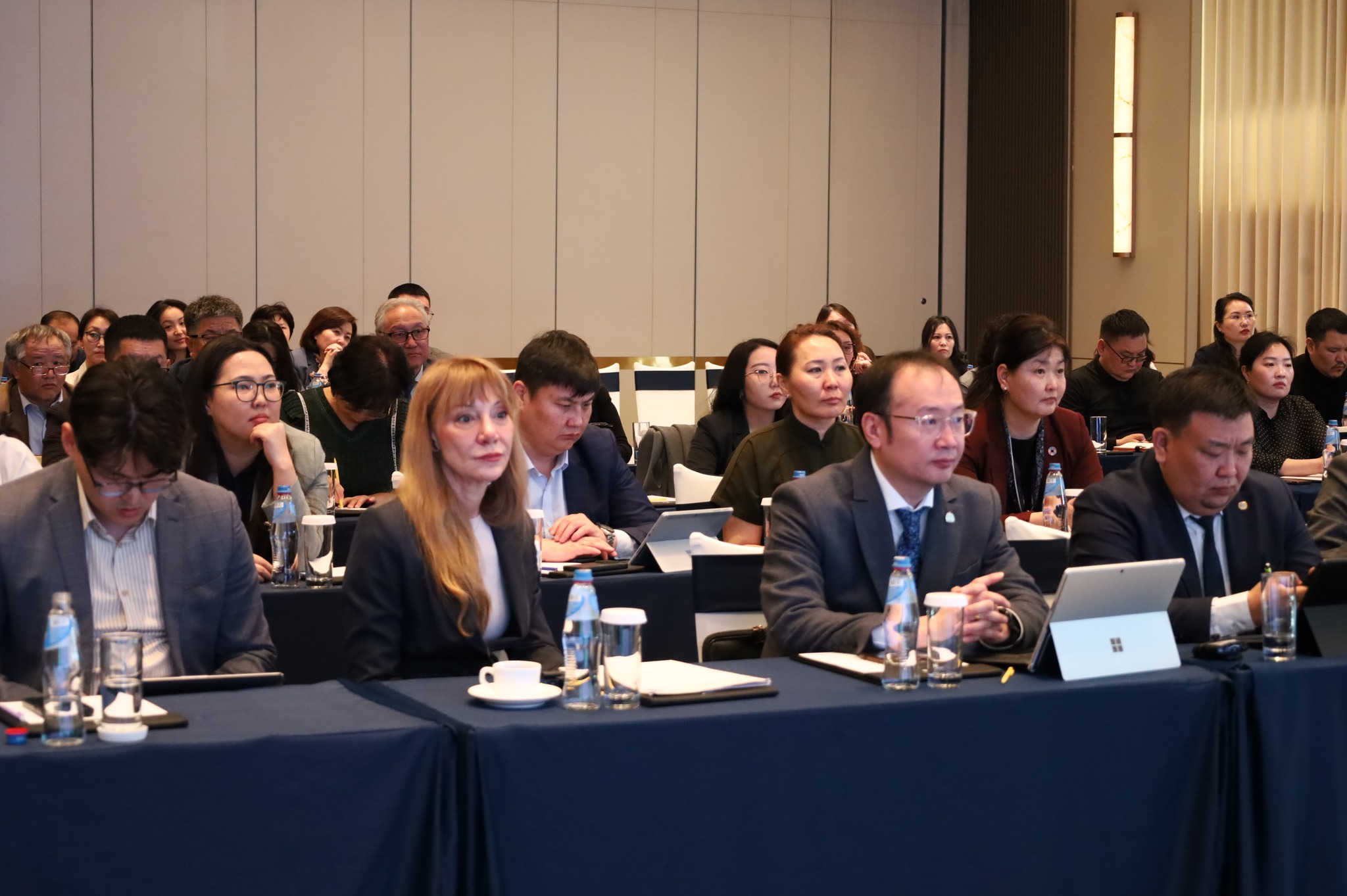 Ноос ноолуур, арьс ширний салбарт химийн хортой бодисын хэрэглээг бууруулах төсөл хэрэгжинэ