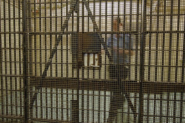 Их Британийн иргэн цаазын ялтай хоригдолтой гэрлэжээ