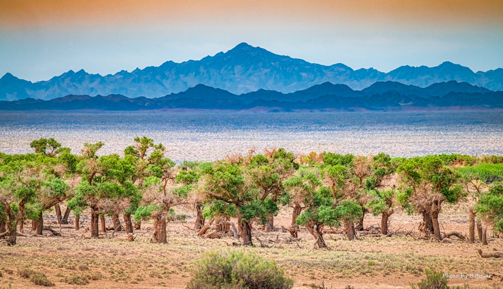 Говь-Алтай, Баянхонгор, Өвөрхангай, Өмнөговь, Дундговийн нутгаар хүчтэй шороон шуурга шуурна