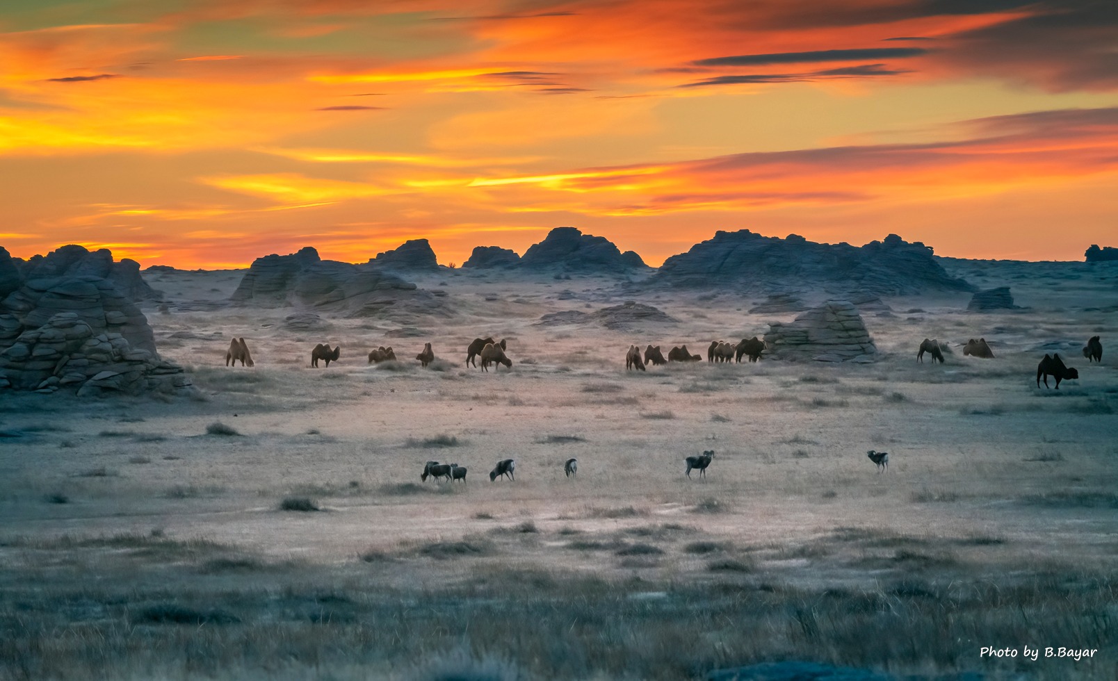 Ихэнх нутгаар цаг агаар тогтуун, өдөртөө дулаан