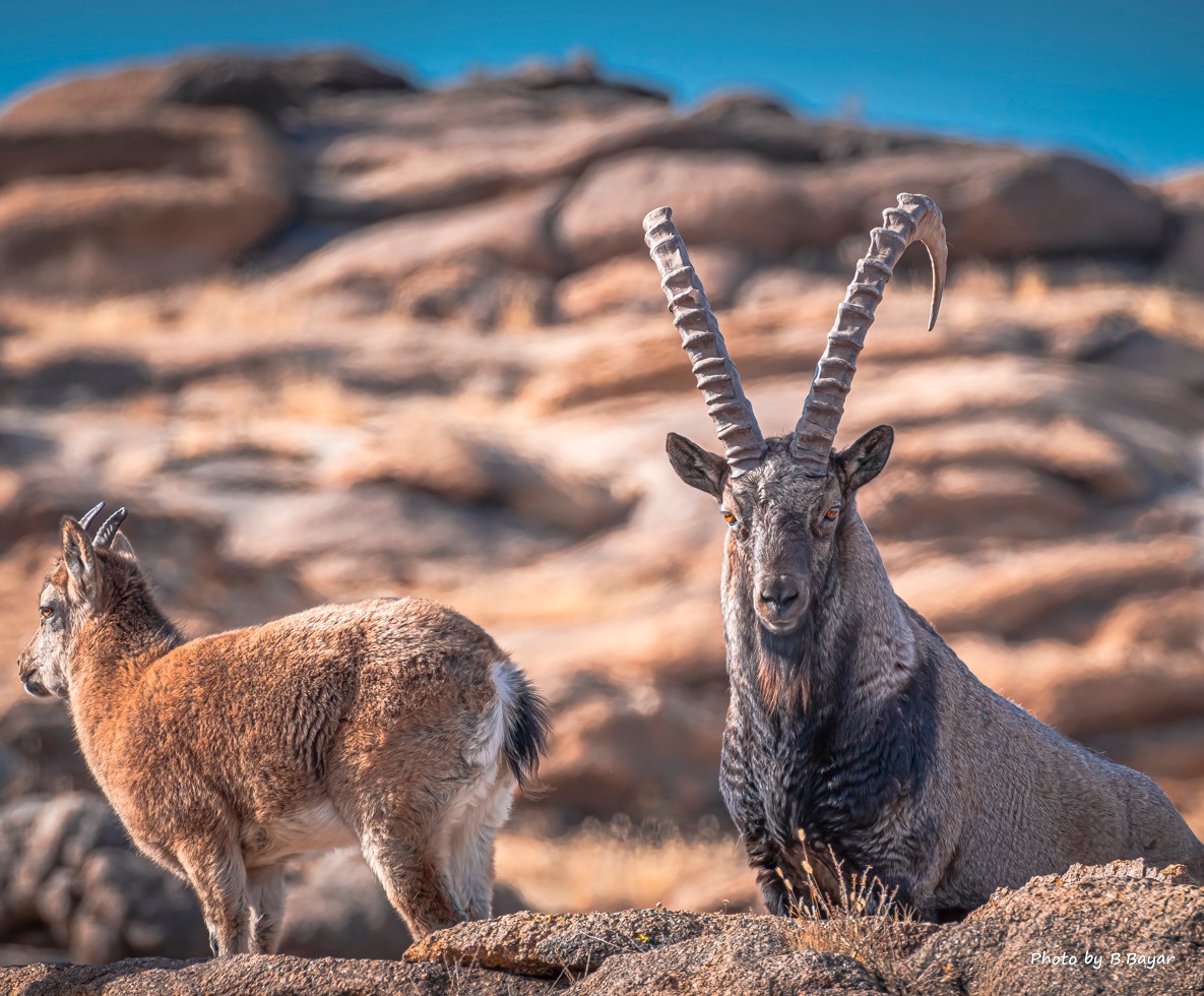 Ихэнх нутгаар цаг агаар тогтуун, дулаан