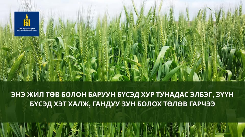 Энэ жил төв болон баруун бүсэд хур тунадас элбэг, зүүн бүсэд хэт халж, гандуу зун болно