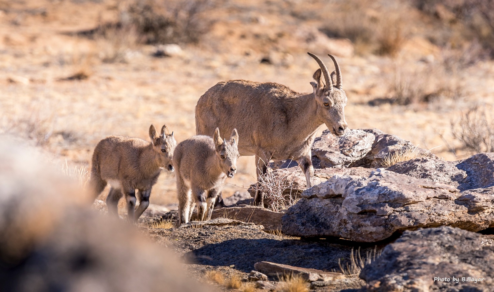 Нутгийн зүүн хэсгээр салхитай, сэрүүхэн