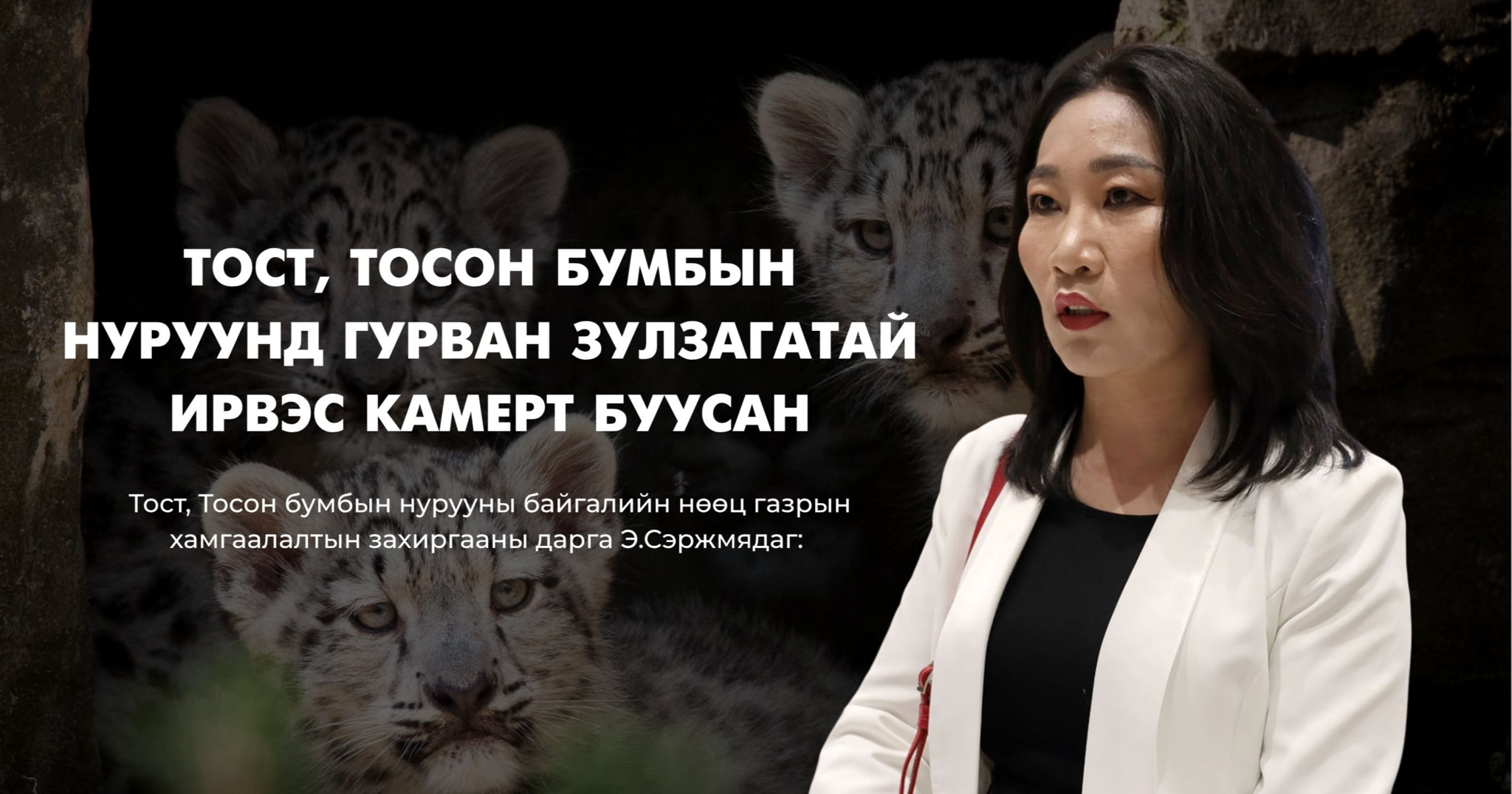 Э.Сэржмядаг: Тост, Тосон бумбын нуруунд гурван зулзагатай ирвэс камерт буусан