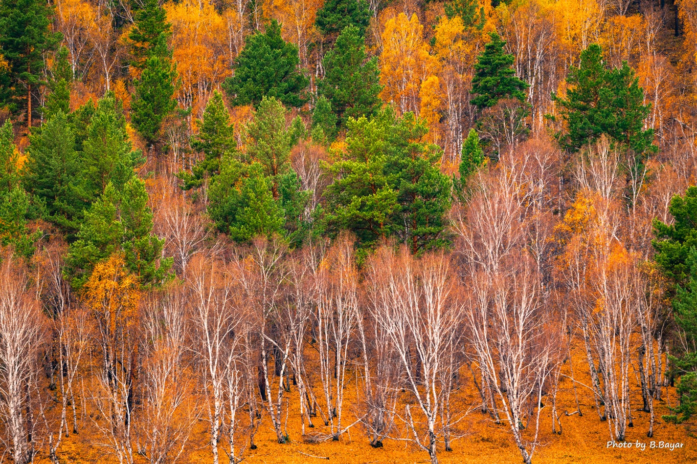 Нутгийн зүүн хэсгээр салхитай,   хуурайшилт ихтэй