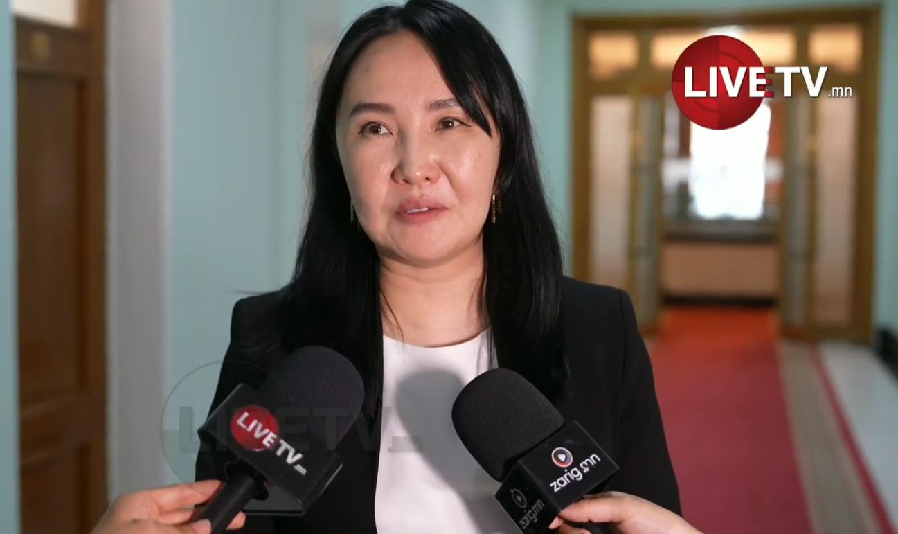 🔴Ч.Ундрам: Улс төржихөөс илүү мэргэжлийн хүмүүстэй хамтарсан тооцоо судалгаанд үндэслэн, бодитой ажил хэрэг болгох хэрэгтэй