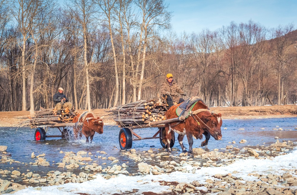 Ойрын хоногуудад нутгийн зүүн хэсгээр салхитай