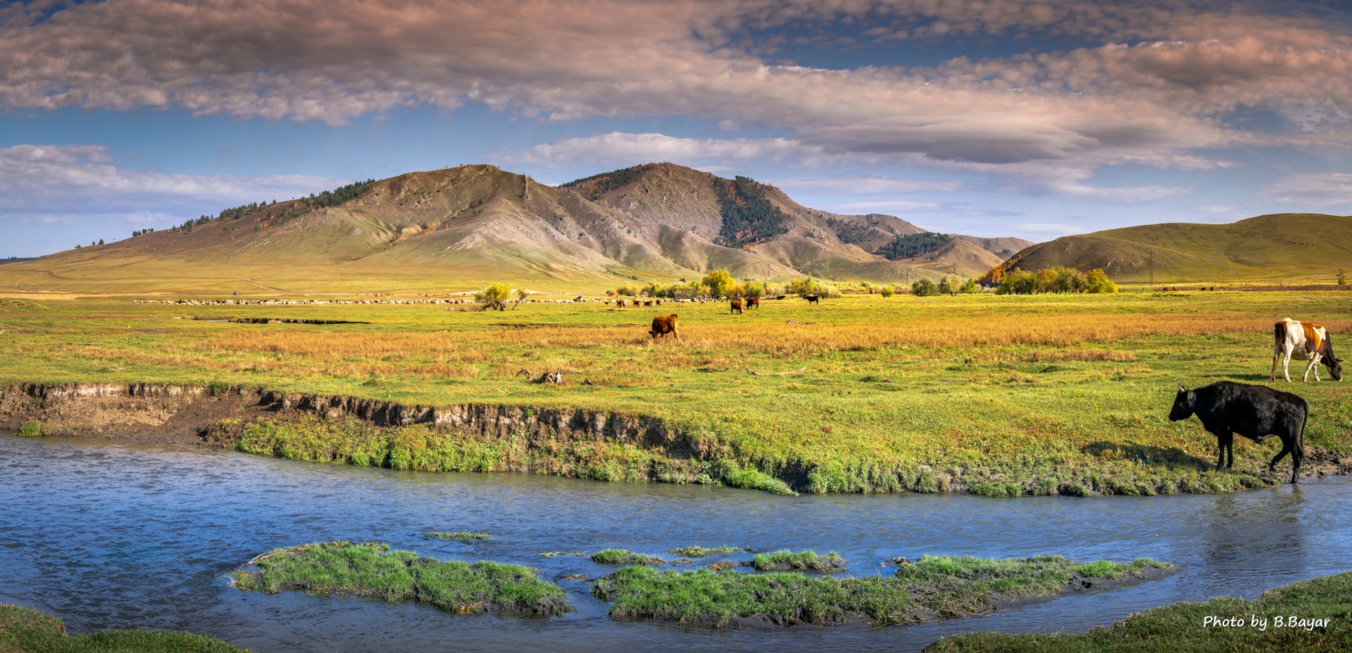 Төвийн аймгуудын нутгийн зүүн, зүүн аймгуудын нутгийн баруун хэсгээр бороо, нойтон цастай
