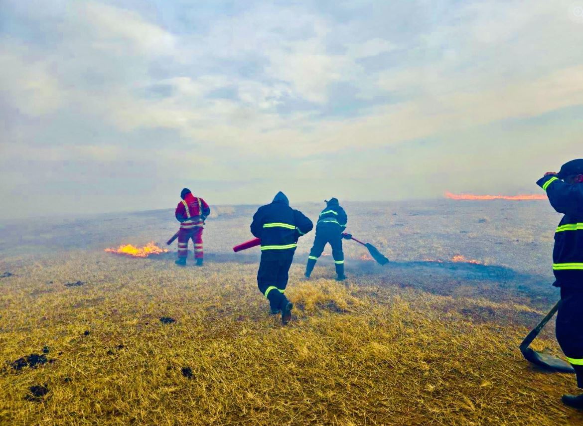 Ой, хээрийн 72 удаагийн гал түймрийг унтраах явагджээ