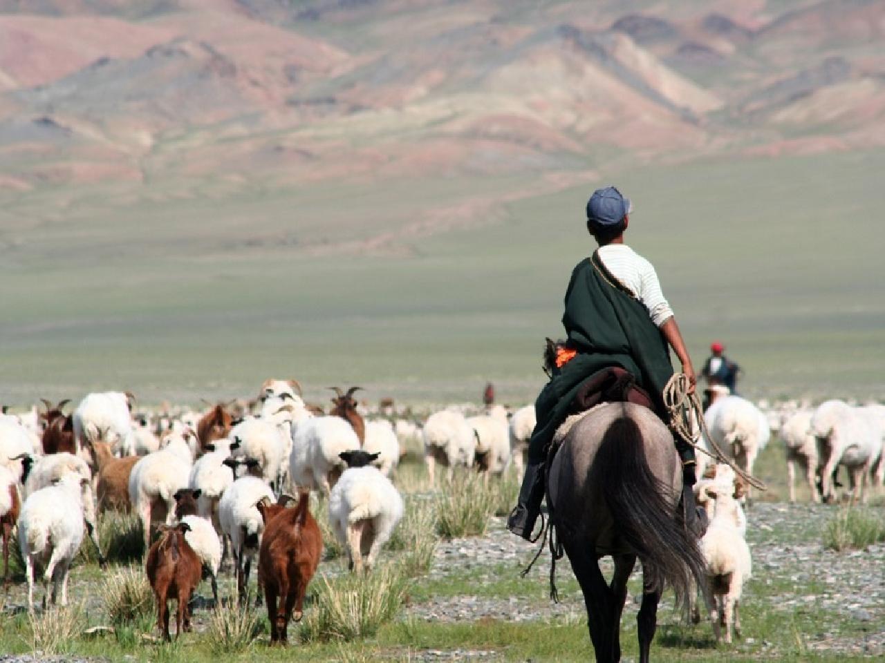 Уур амьсгалын өөрчлөлт дэх МАА-н асуудлаар олон улсын эрдэм шинжилгээний хурал болно