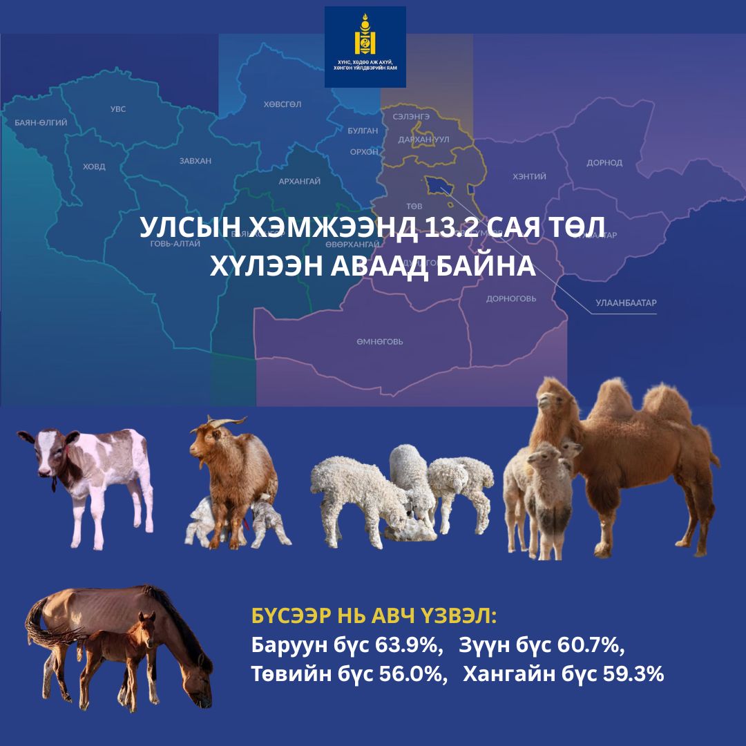 Улсын хэмжээнд 13.2 сая төл хүлээн авчээ