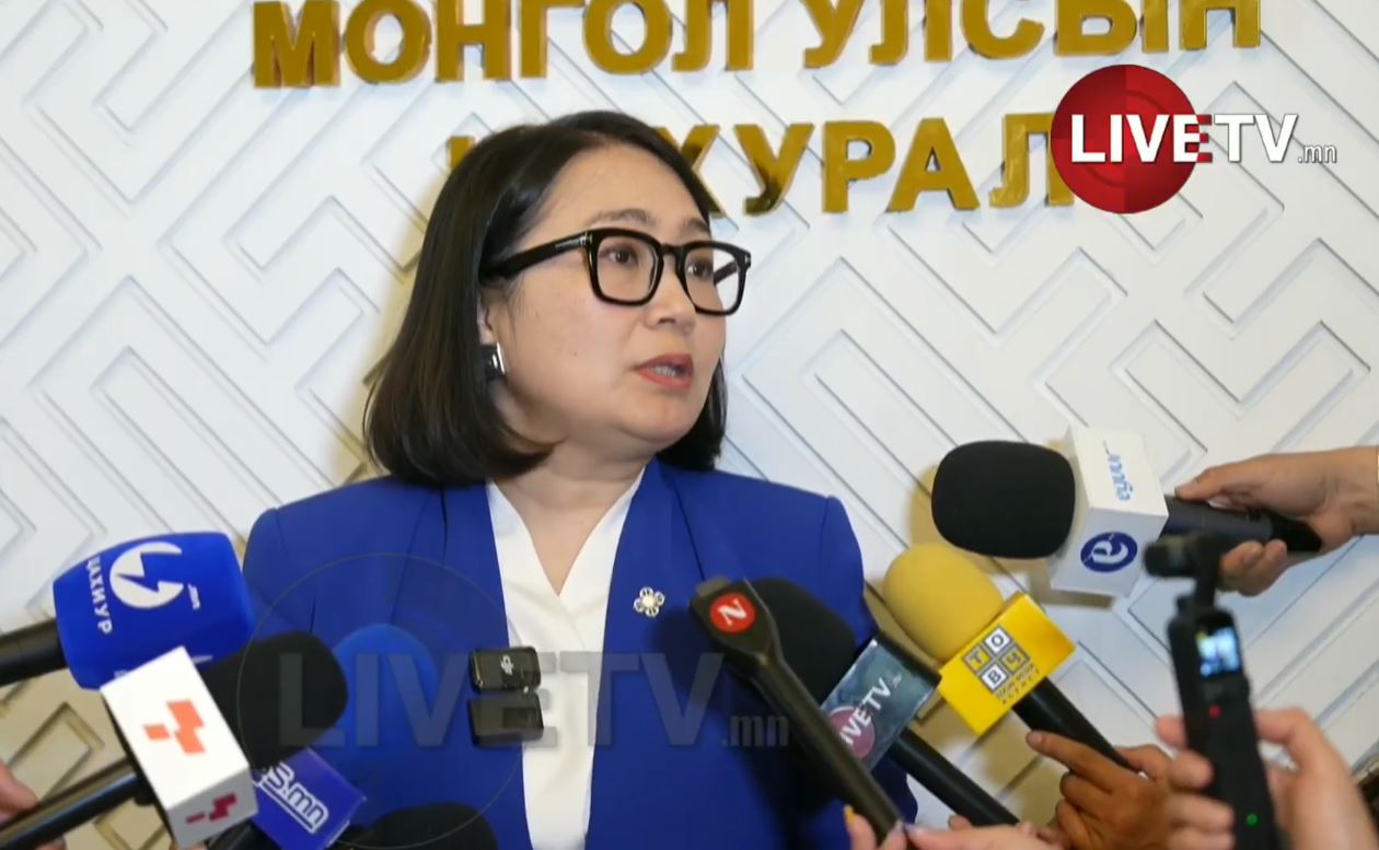 🔴О.Номинчимэг: Өнгөрсөн хугацаанд төрийн өмчийн бодлогод өнгөц, гоо сайхны шинжтэй өөрчлөлтүүд хийгдэж ирсэн