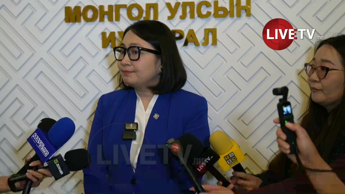 🔴О.Номинчимэг: Төр өмчөө бүртгэлжүүлэх ёстой